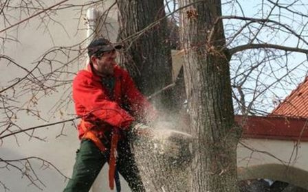 Gärtner mit Schutzkleidung fällt einen Baum mit einer Motorsäge.