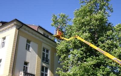 Arbeiter auf einer Hebebühne entfernt einen dicken Ast in der Nähe eines Gebäudes.