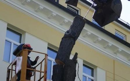 Arbeiter auf einer Hebebühne entfernt einen dicken Ast in der Nähe eines Gebäudes.