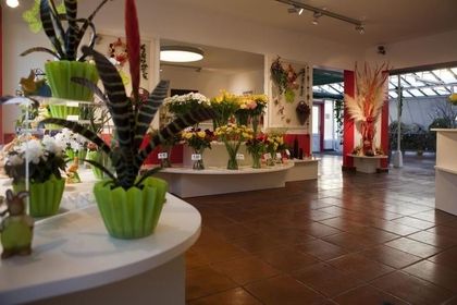 Floristik-Geschäft mit dekorierten Vasen und Blumenarrangements.