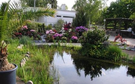 Teich umsäumt mit Sträuchern und Blumen. Im Vordergrund ist eine eingetopfte Palme zu sehen.