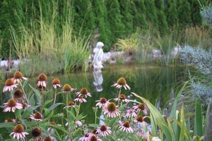 Naturteich mit blühenden Pflanzen und einer weißen Statue im Hintergrund.