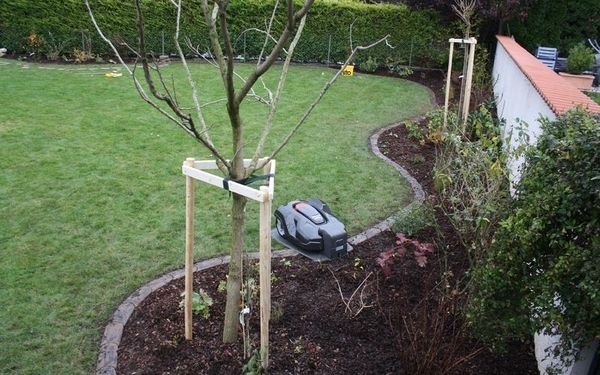 Neu gestalteter Gartenbereich mit junger Bepflanzung, Rasen und dunkler Mulchschicht.