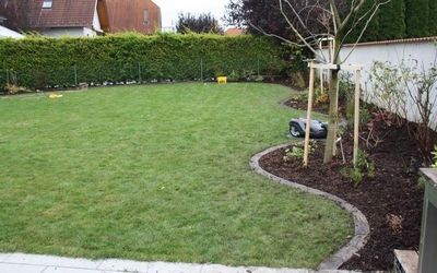Neu gestalteter Gartenbereich mit junger Bepflanzung, Rasen und dunkler Mulchschicht.