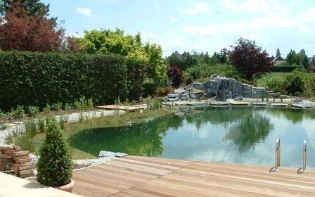 Schwimmteich mit Holzdeck und üppiger Bepflanzung.