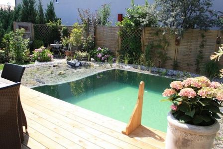 Naturnaher Schwimmteich mit Holzstegen und grüner Umgebung.