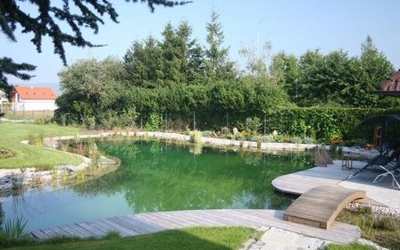 Naturnaher Schwimmteich mit Holzbrücke und grüner Umgebung.